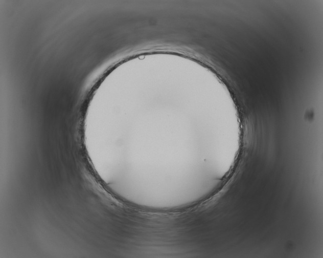 X0000115691502200912241450