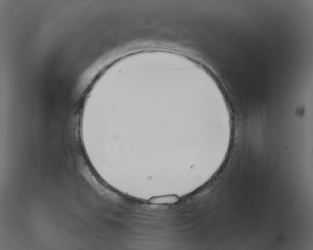 X0000115691503200912241450