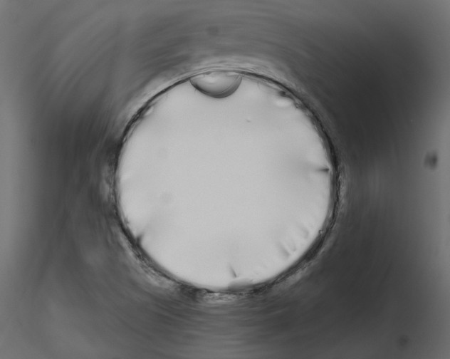 X0000115691505200912241450