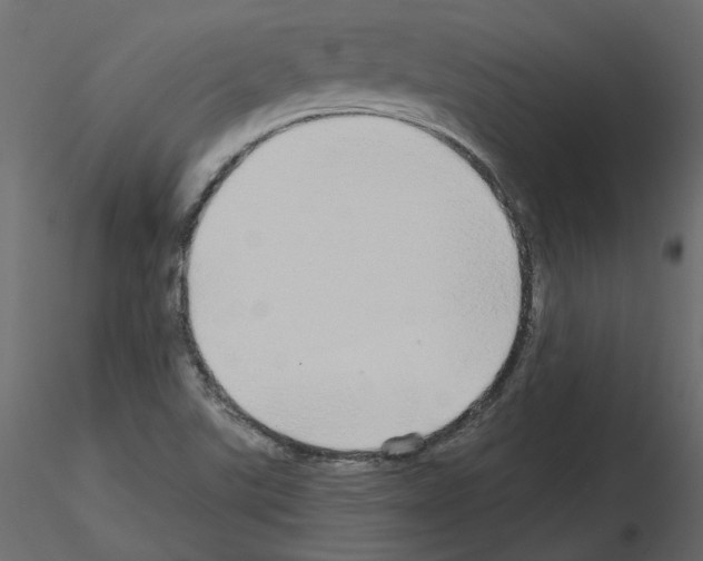 X0000115691507200912241450