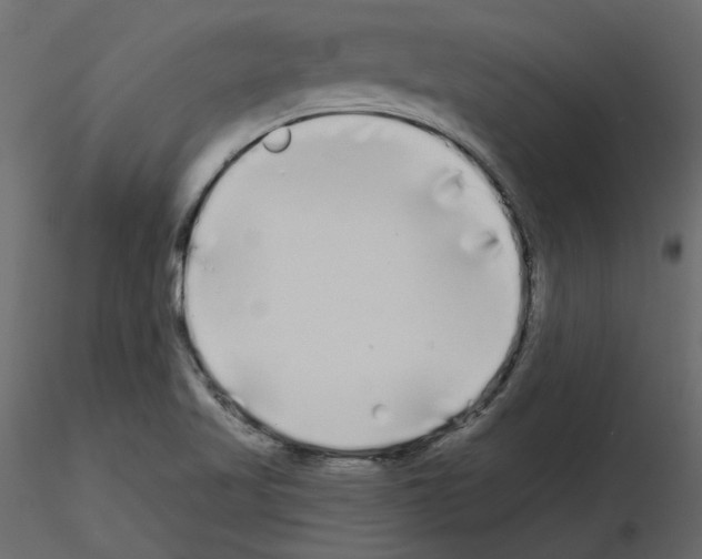 X0000115691509200912241450