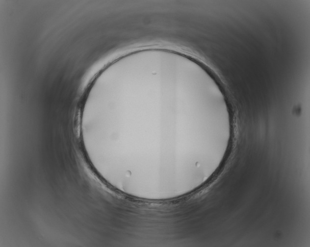X0000115691510200912241451