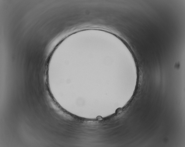 X0000115691511200912241451