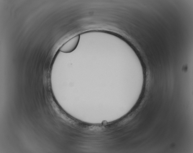 X0000115691513200912241451