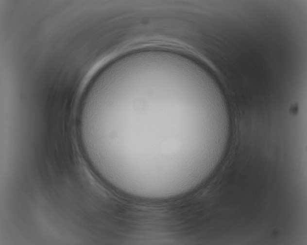 X0000115691514200912241451