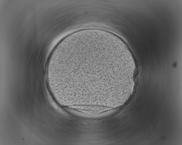 X0000115691515200912241451