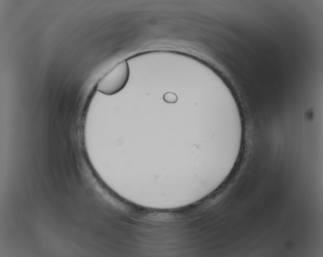 X0000115691517200912241451