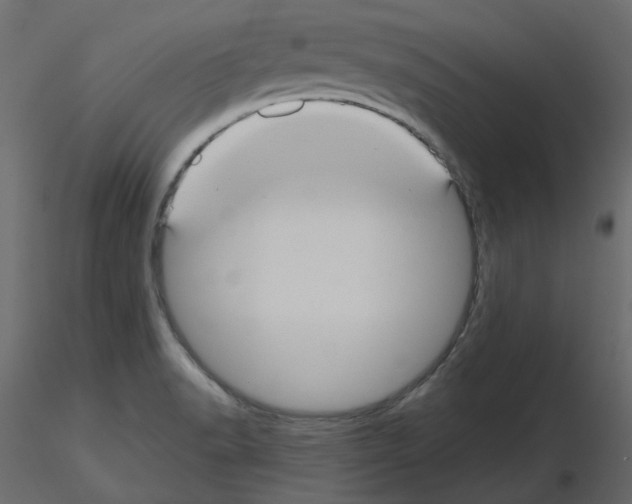 X0000115691518200912241451