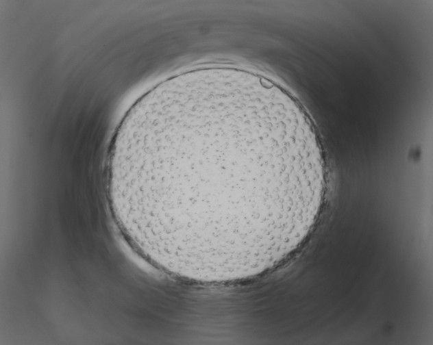X0000115691519200912241451