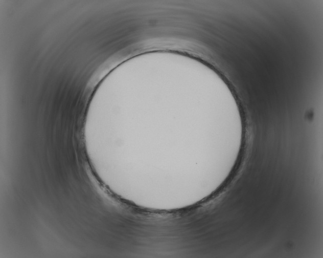 X0000115691521200912241451