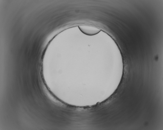 X0000115691523200912241451