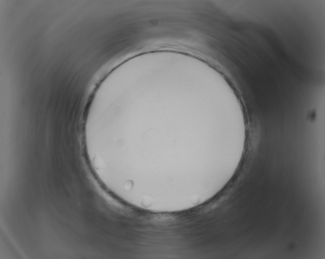 X0000115691525200912241451