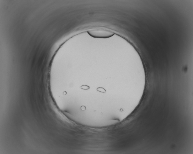 X0000115691526200912241451