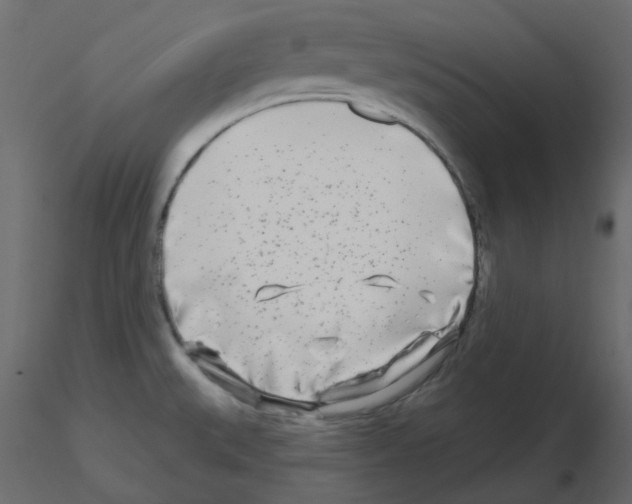 X0000115691527200912241451