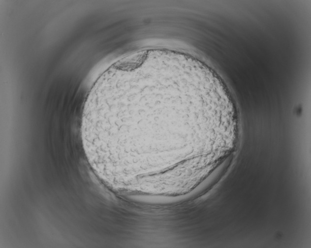 X0000115691529200912241451