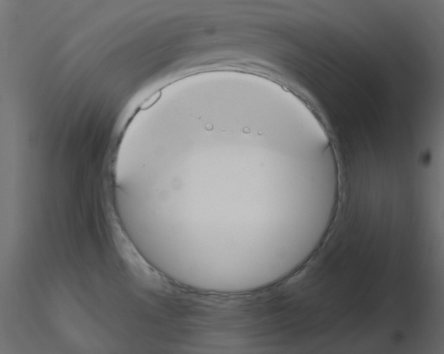X0000115691530200912241451