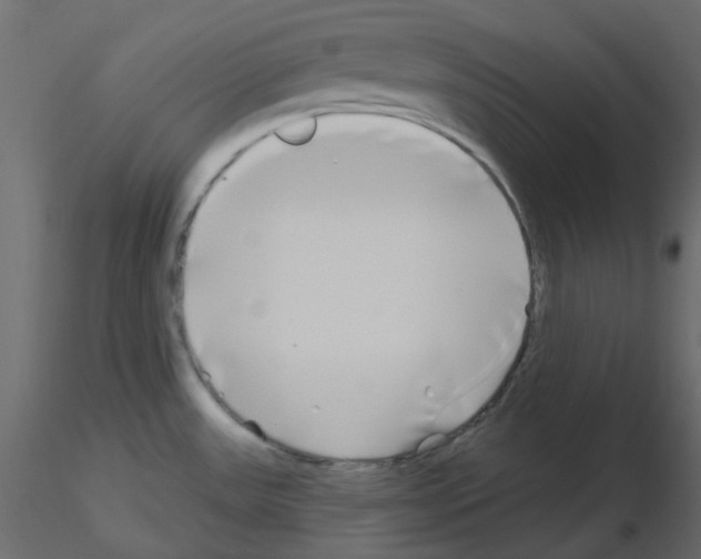 X0000115691531200912241451