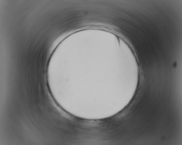 X0000115691533200912241451
