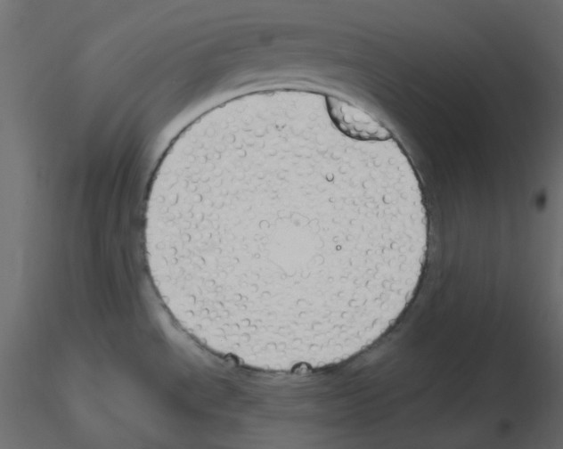 X0000115691534200912241451