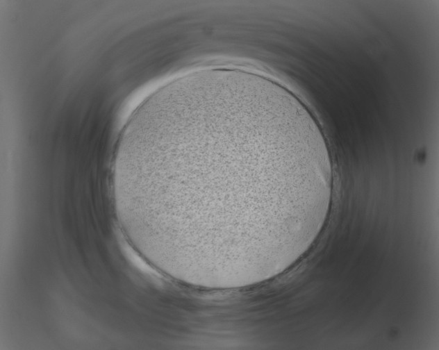 X0000115691535200912241451