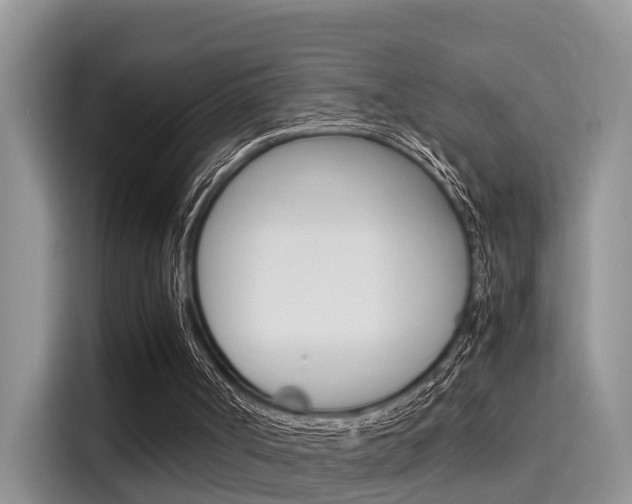 X0000115700002200911120952