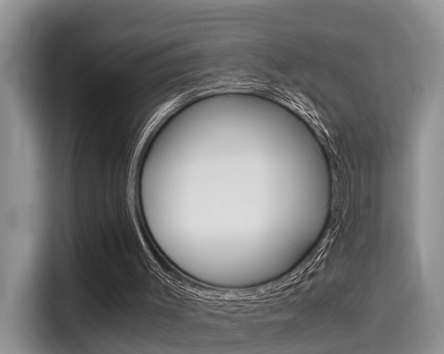 X0000115700003200911120952