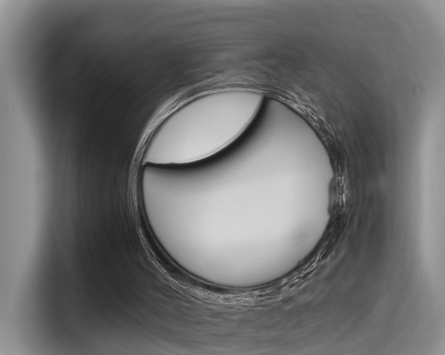 X0000115700004200911120952