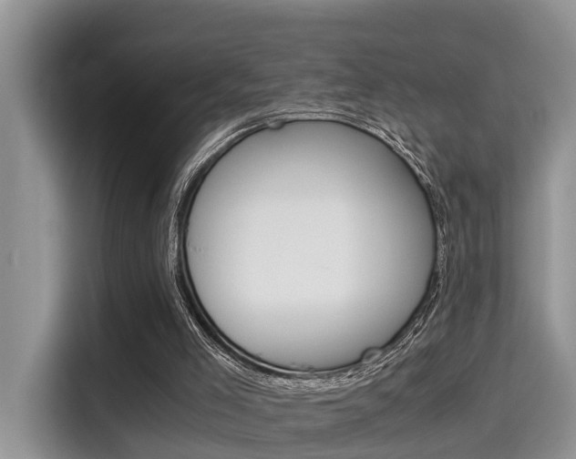 X0000115700005200911120952