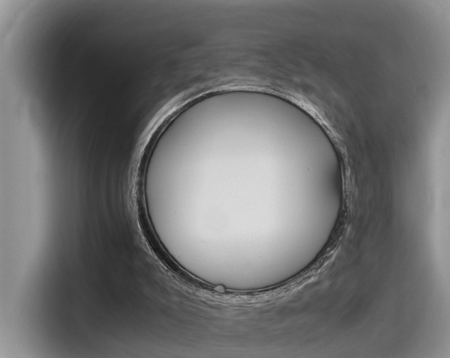 X0000115700007200911120952