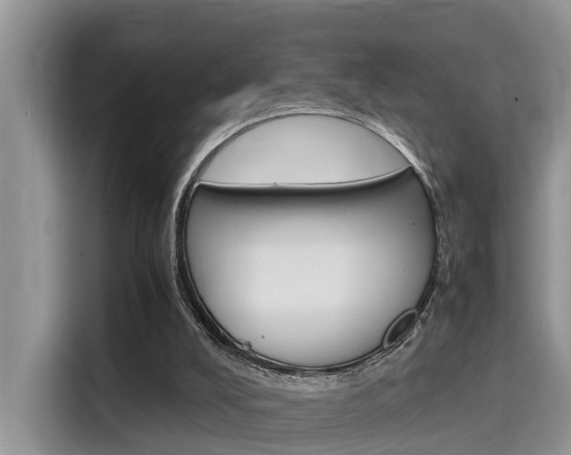 X0000115700008200911120952