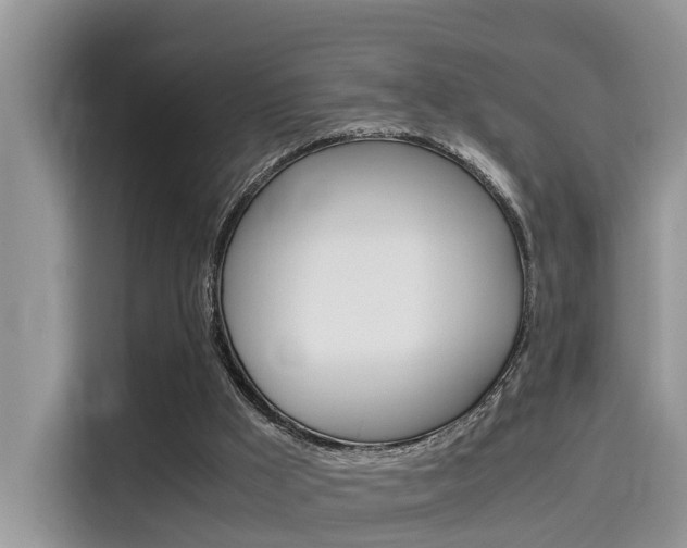 X0000115700009200911120952