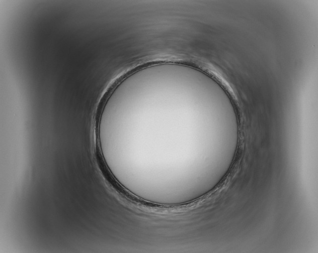 X0000115700011200911120952