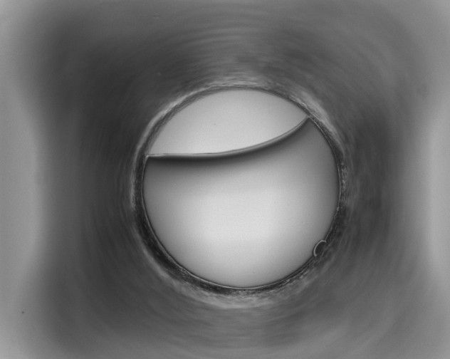 X0000115700012200911120952
