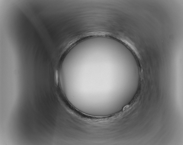 X0000115700013200911120952