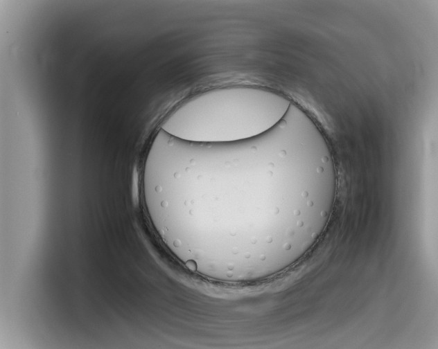X0000115700014200911120952