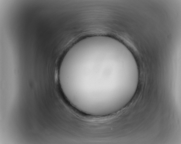 X0000115700021200911120952