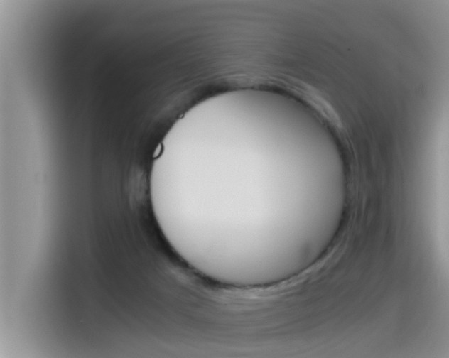 X0000115700025200911120952