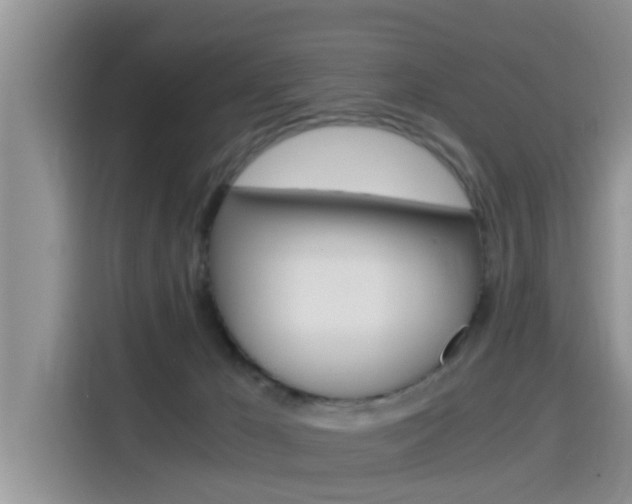 X0000115700029200911120952