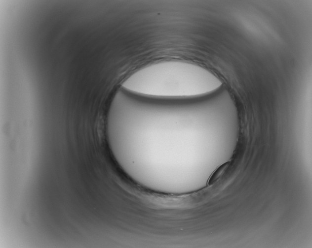 X0000115700036200911120952