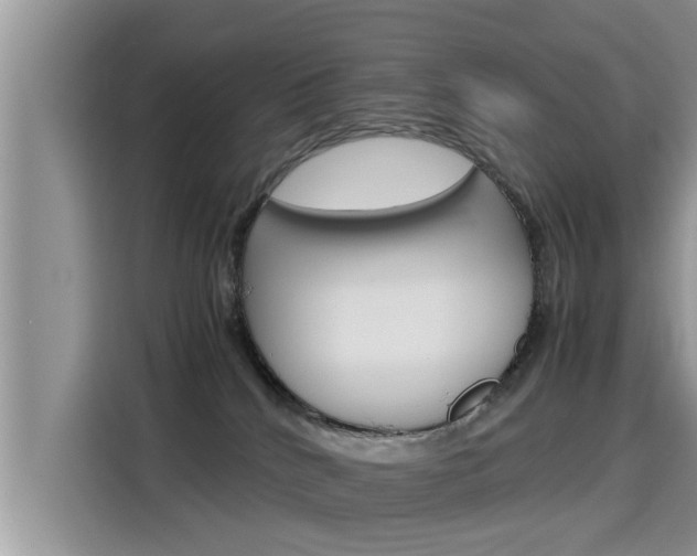 X0000115700040200911120952