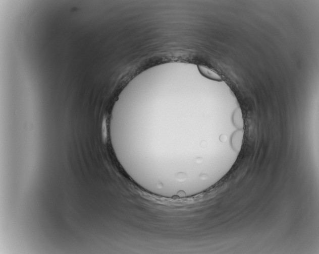 X0000115700042200911120952