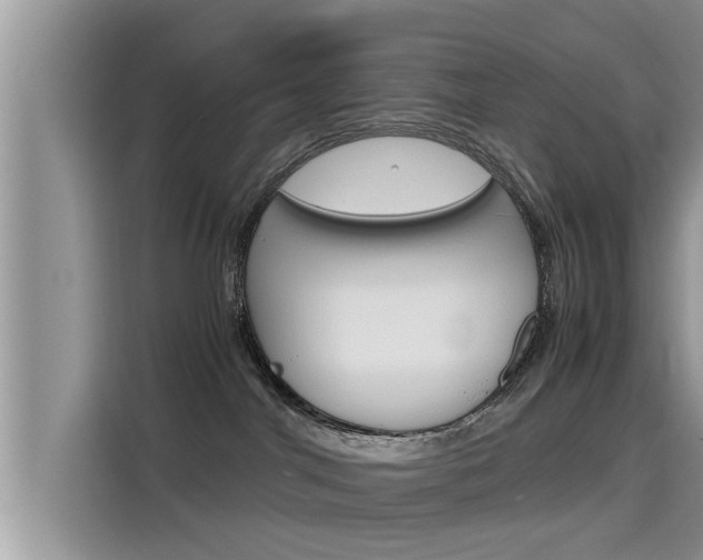 X0000115700044200911120952