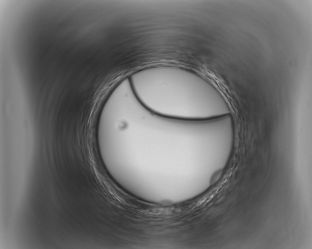 X0000115700049200911120951