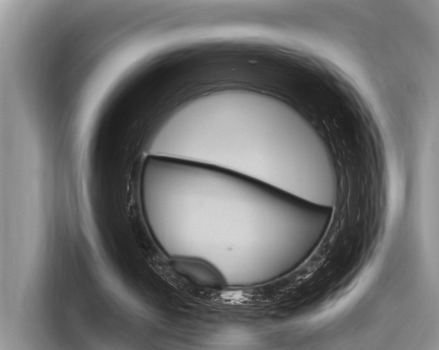 X0000115700050200911120951