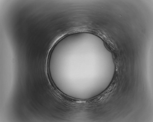 X0000115700052200911120951