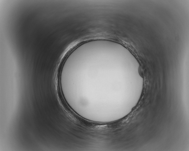 X0000115700054200911120951