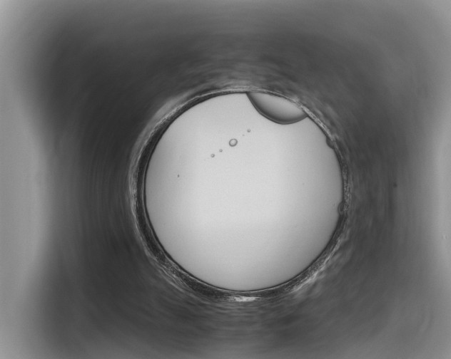 X0000115700055200911120951