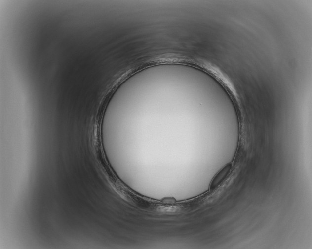 X0000115700057200911120951