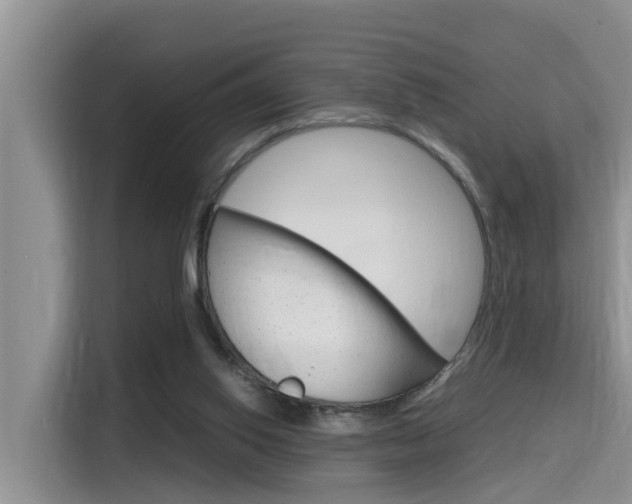 X0000115700062200911120951