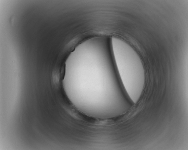 X0000115700072200911120951